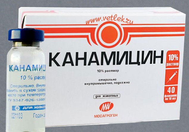 Канаміцин