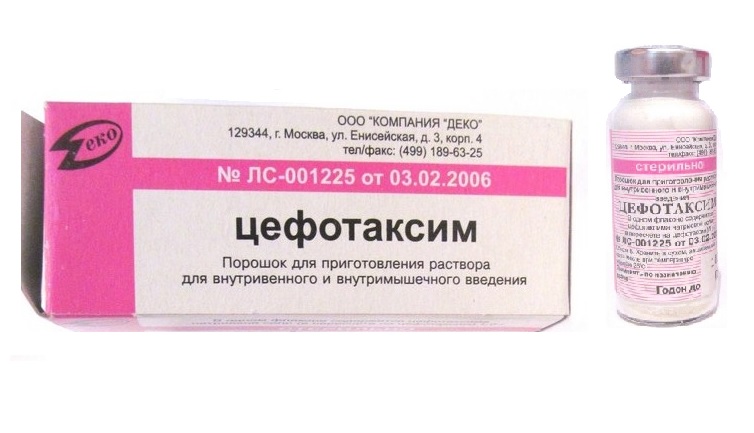 Цефотаксим