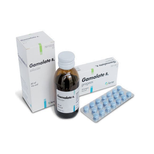 Гамалате В6