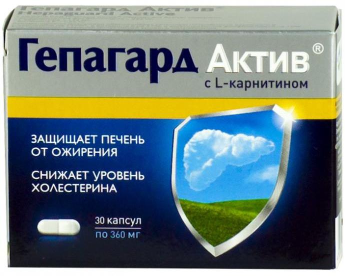 Гепагард Актив