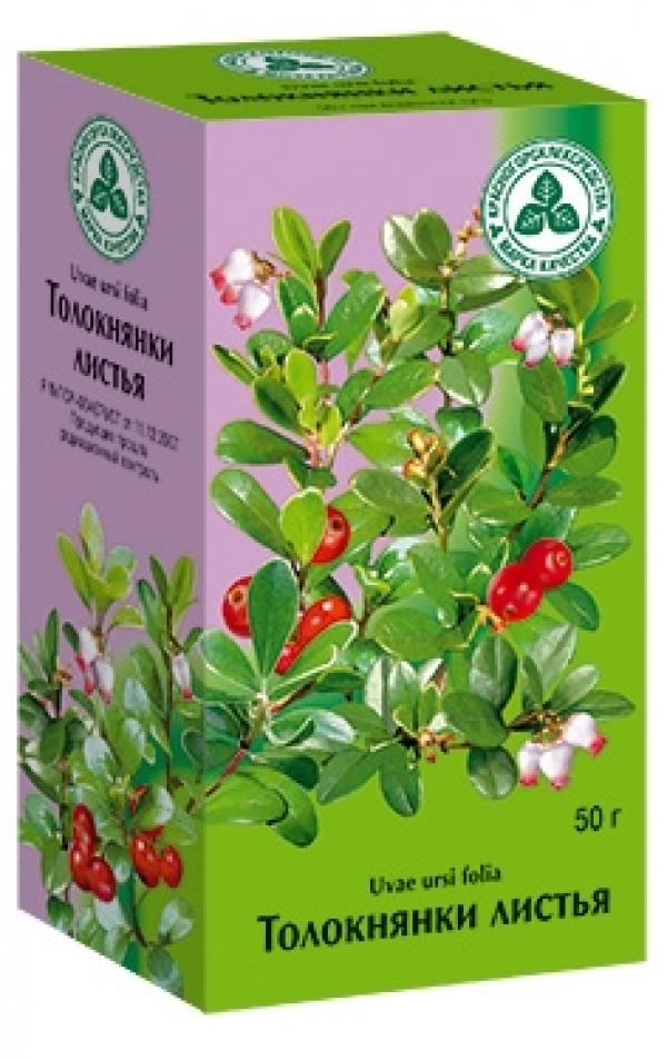 Толокнянки листья