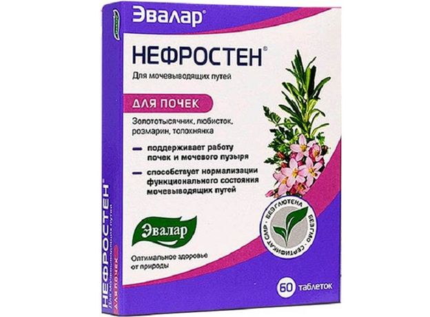 Нефростен