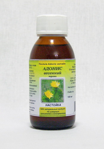 Настоянка Горицвіту весняного