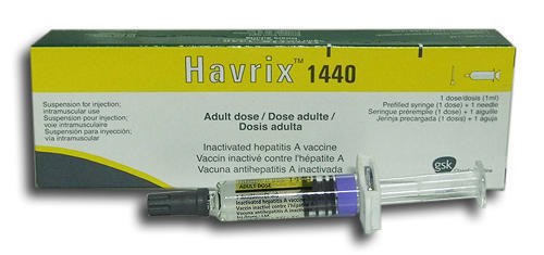 Хаврикс 1440 дорослий